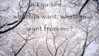 Jerrod Niemann- What do you want (with Lyrics)