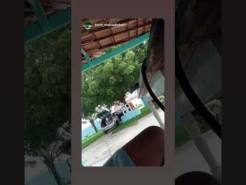 GALO SOM ITABAIANINHA SERGIPE