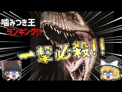 イエスズメ (スズメ目スズメ目)