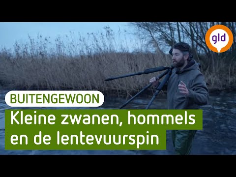 BuitenGewoon - Vier seizoenen in de natuur - Herfst en winter