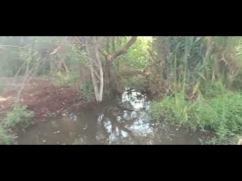  PARQUE INTERLAGOS, AGUAI ESTADO DE SÃO PAULO, BASTANTE TILAPIA BEM GRANDE TOP A PESCARIA