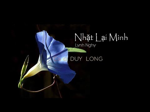 Nhặt lại mình Sheet - Duy Long