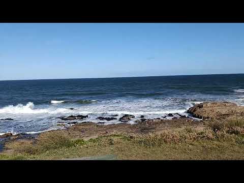 La Pedrera Rocha Uruguay 