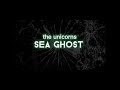 Sea Ghost - The Unicorns [[ LYRICS VIDEO ]]'