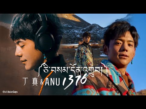 自製MV(非官方) : Ding Zhen 丁真 1376 心想事成 ཅི་བསམ་དོན་གྲུབ All Wishes Come True