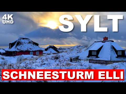 HÖRNUM SYLT IM SCHNEE ❄️❤️ Traumhafte Impressionen nach Schneesturm Elli | Januar 2026