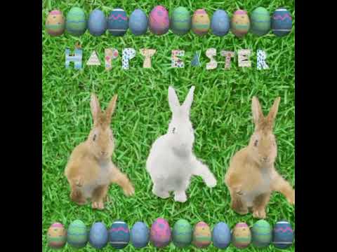 happy easter - thefatrat - time lapse. dancing rabbits