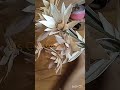 Shorts Youtubeshort Sscreation