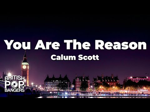 Calum Scott - You Are The Reason (Lyrics)