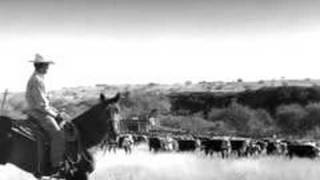 Not Just Another Cowboy