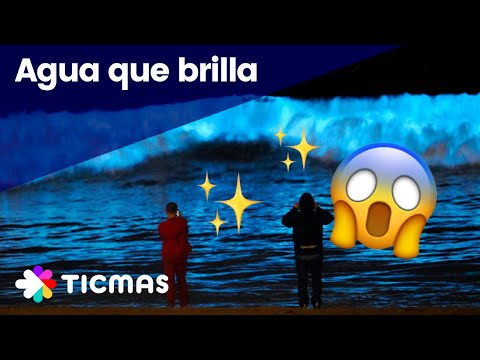 El misterio del agua que brilla en la oscuridad: videos y fotos alucinantes - Infobae