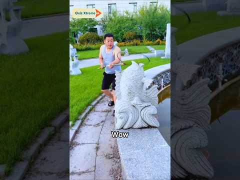 Người đàn ông nghĩ rằng những bức tượng là cá 😳