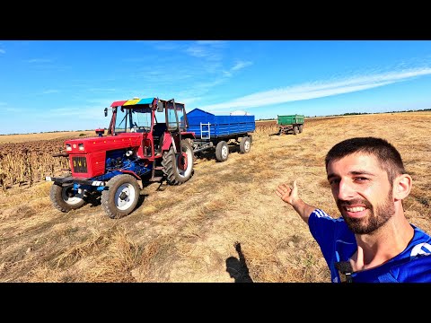 PRODUCȚIE RECORD LA FLOAREA SOARELUI + TOC BEȚELE CU JOHN DEERE 5100M