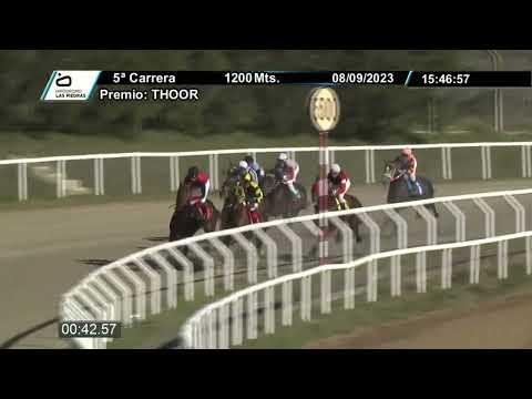 230908 c05 - PROTOTIPO (BRZ) - HIPODROMO LAS PIEDRAS