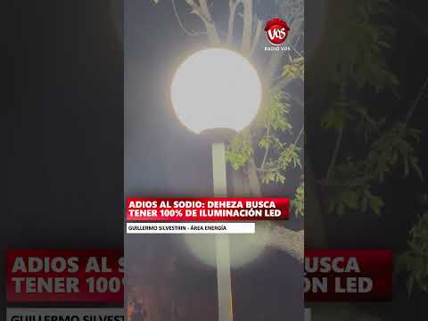 GENERAL DEHEZA: ADIOS AL SODIO.