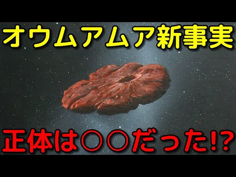 Callocephalon fimbriatum のカップル(左側がオス)