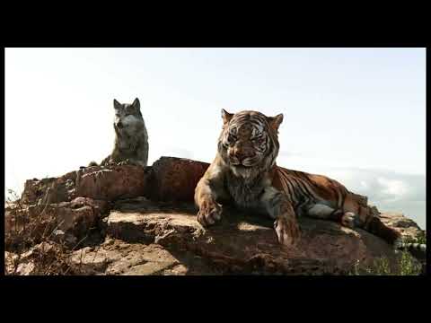 Animals 2 (Cars 2) Part 20 - Garfield Warns Paddington/Garfield's Flashback