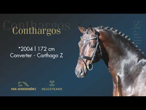 Conthargos - Jumping Collection Schockemoehle & Helgstrand 2022 (ENG)