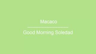 Macaco - Good Morning Soledad / Letra