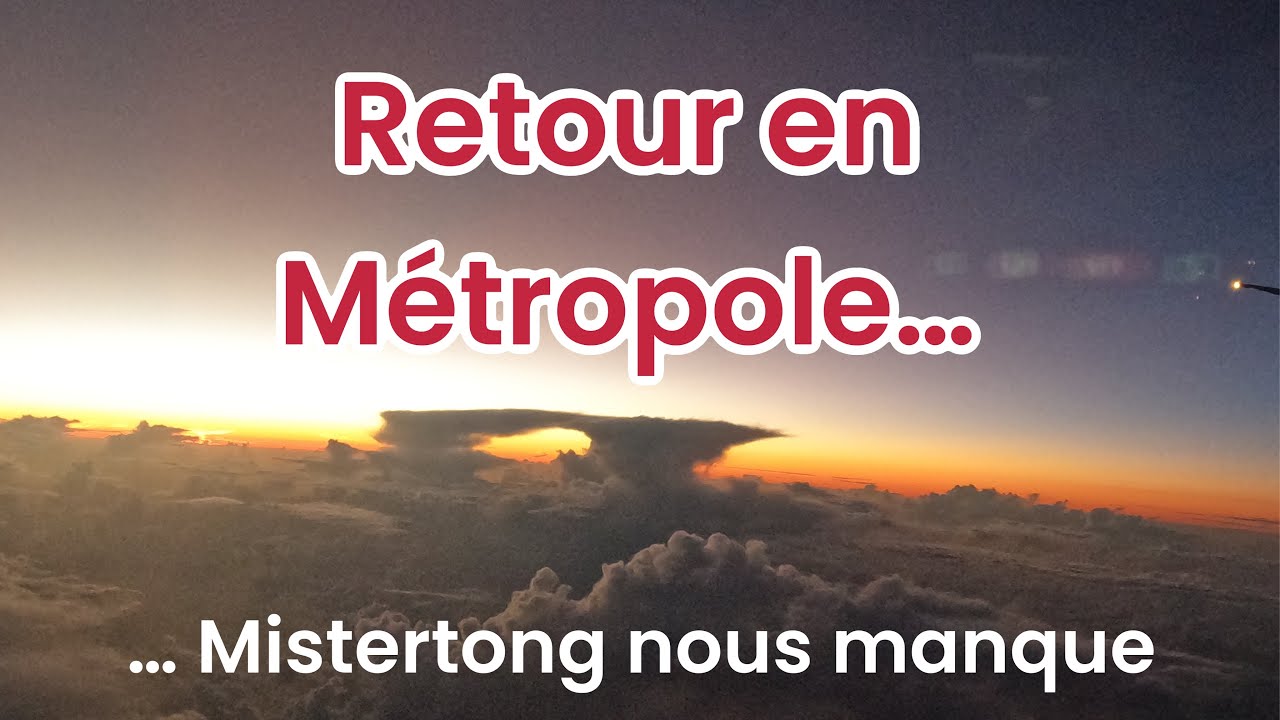 #12 We have to leave Mistertong!!!