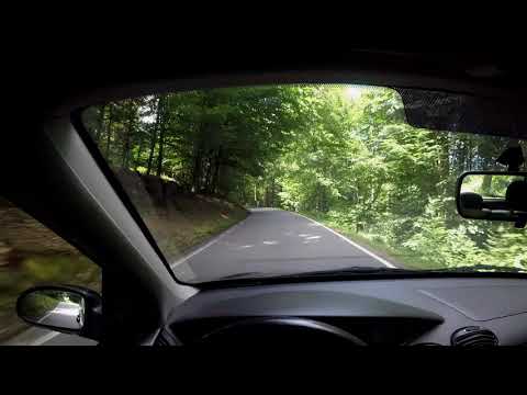 Ford Focus ST170 POV Forest Drive (Raw Exhaust Sound)