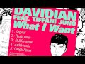 Davidian - What I Want (Eli & Fur Remix) [feat ...