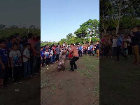 ya habías visto el juego del chancho lucio, San Juan de la Concepción realizó esta bonita actividad