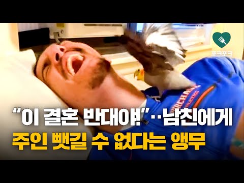 아이콘