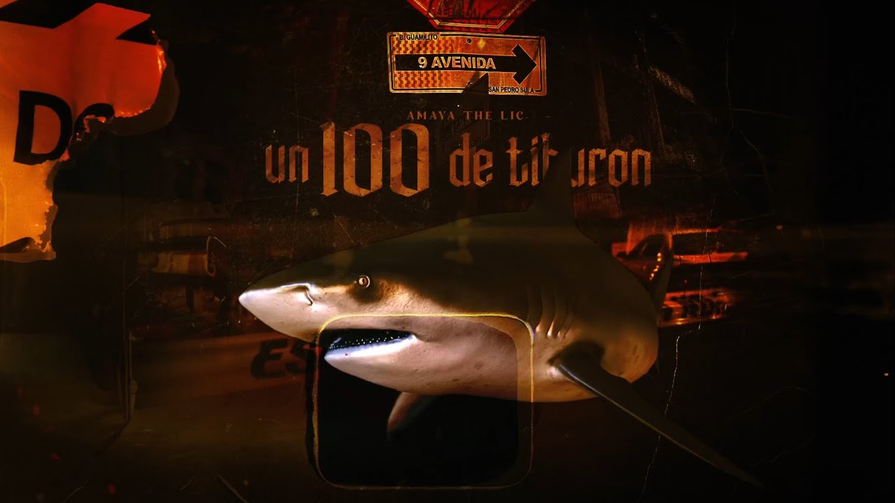 Amaya, The LIC - Un 100 de Tiburón