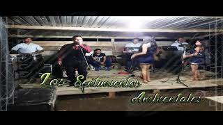 Los Sentimientos Ambientales - Warmi Mama (2021)