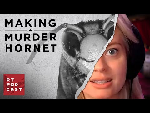Making a Murder Hornet - Ep. 595 - RT Podcast