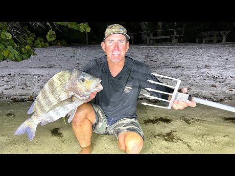 1,000 Year OLD Style of SPEAR Fishing (Sheepshead Catch Clean & Cook)