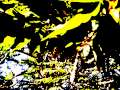 The Paradise Motel - Dead Skin (1997) 