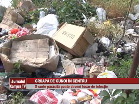 GROAPA DE GUNOI IN CENTRU