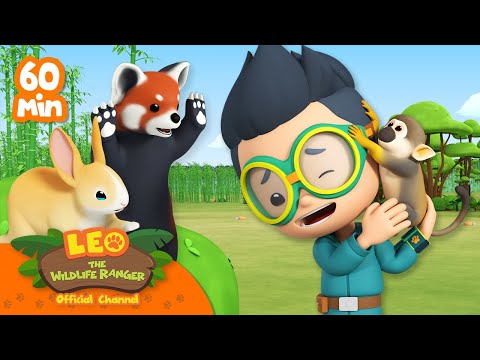 Witness21  2023 04 30