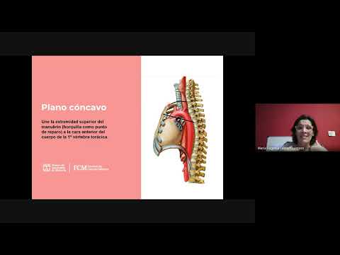 CLASE DE REPASO TYTL - Mediastino - Prof Eugenia Cabral