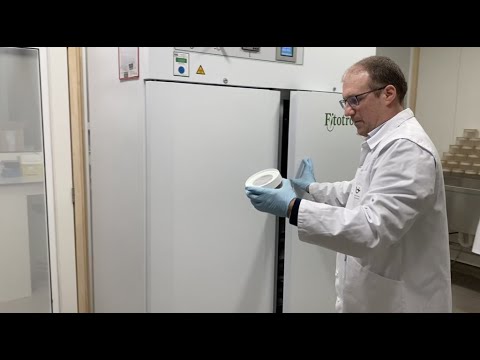 Tour through the UAntwerp sand fly and tsetse fly colony