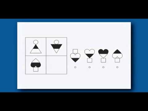 Wisc Manual
