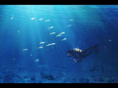 Alien Underwater - Breakdown