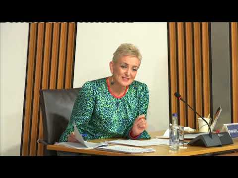 Committee on the Scottish Government Handling of Harassment Complaints - 27 October 2020