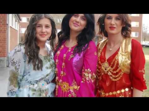 Kurdish folk music "Yaran" (My Love)