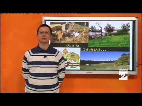 Articolazioni terapia di sanguisuga Per il trattamento di malattie delle articolazioni