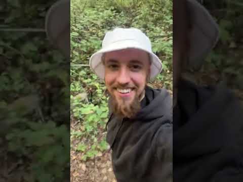 El secuestro de Perséfone - Mitología Griega