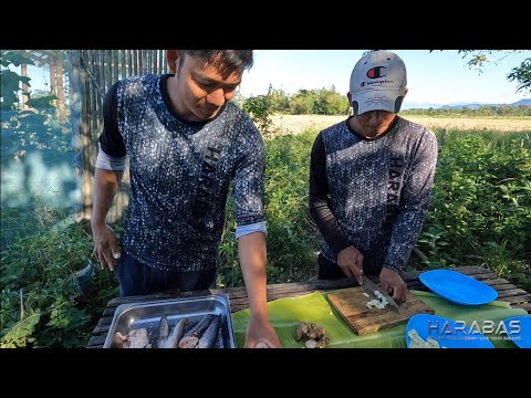 EP799-P2 - Panghuhuli ng Isda Gamit ang Lambo | Occ. Mindoro