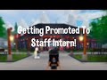 Getting Promoted To Staff Intern At Bambou! (Roblox)