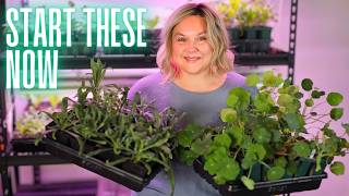 Fast Spring Flowers From Seed | These Annuals are Ready to Bloom!