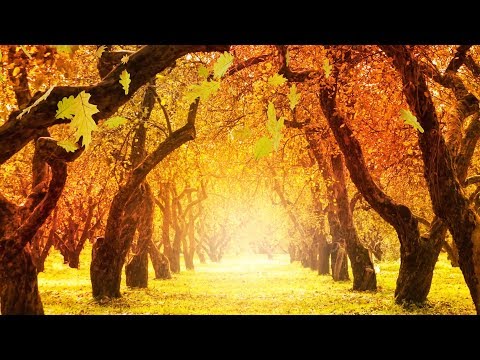 download lagu mp3 mp4 Instrumental Autumn Music, download lagu Instrumental Autumn Music gratis, unduh video klip Instrumental Autumn Music