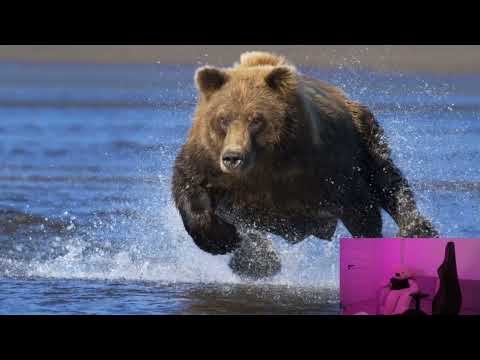 Kasix ogląda - 10 Najniebezpieczniejszych MIEJSC W POLSCE