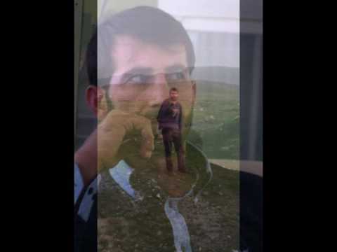 Reşit Sarboğa Anısına