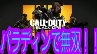 BO4　パラディンの最強カスタムはこれ！
